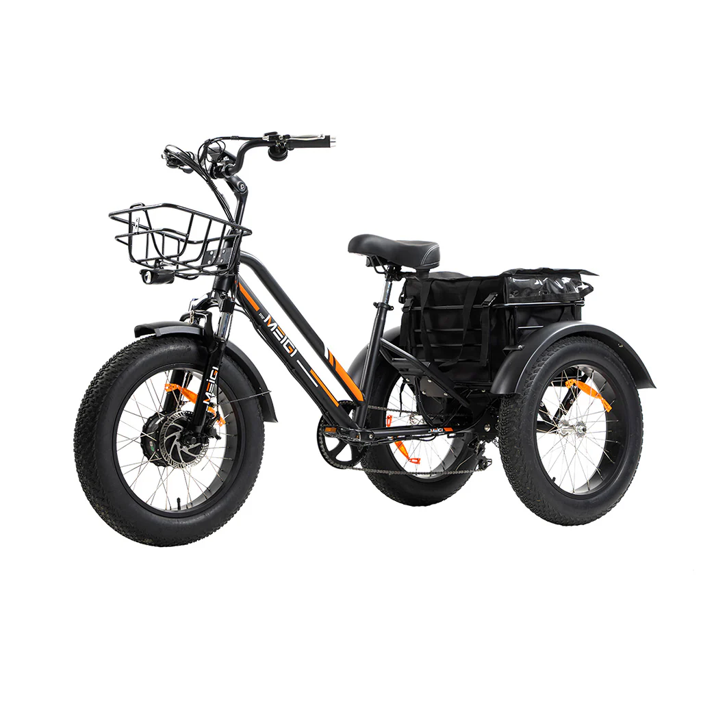 DWMEIGI Zeus MG1703 750W Fat Tire Electric Trike