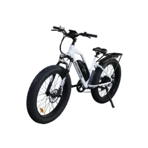 aostirmotor-s07-g-unisex-fat-tire-750w-48v-city-commuter-electric-bike