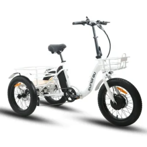 eunorau-new-trike-500w-48v-step-through-fat-tire-folding-electric-tricycle