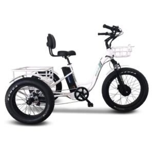 emojo-caddy-500w-48v-fat-tire-electric-tricycle
