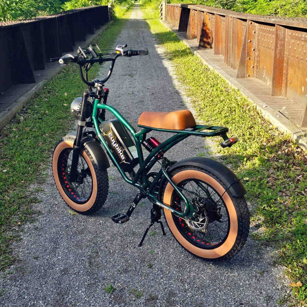 S4 Long Range Moped-Style Fat Tire Electric Bike 48V 25Ah Full Suspension - Image 3