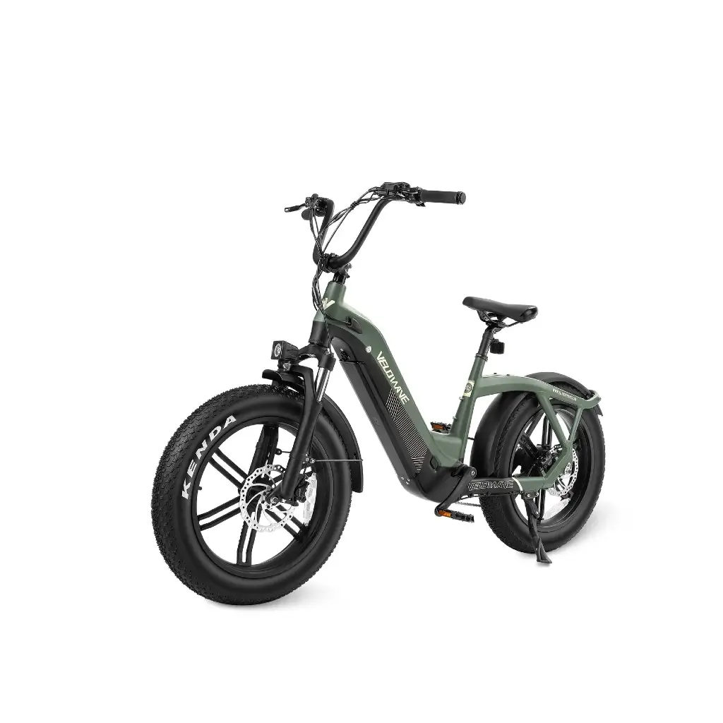 Compact Fat Tire Step-Thru E-Bike