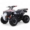 Coolster 125cc Mammoth Kids ATV