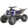 Coolster 150cc Sport Adult ATV