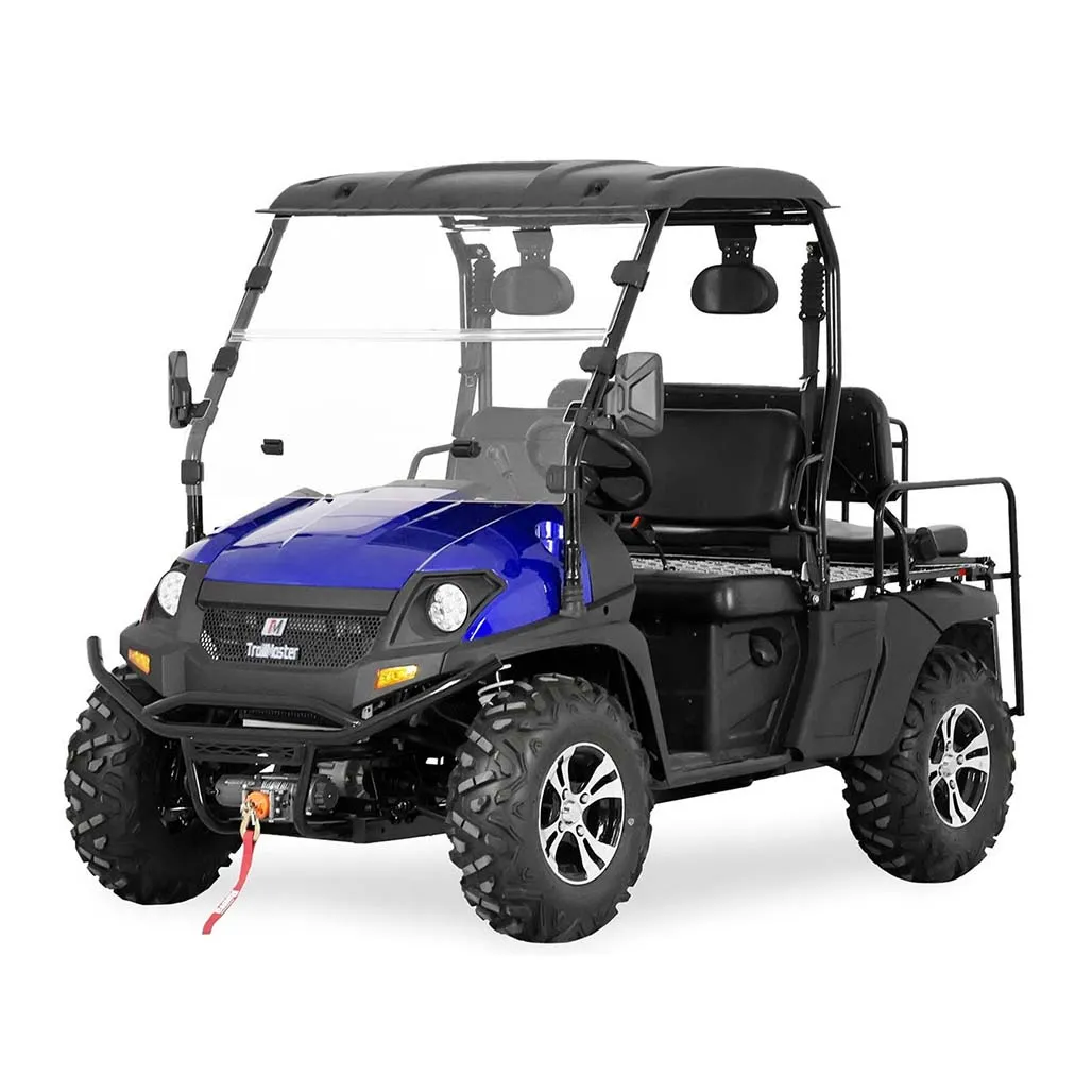 TrailMaster Taurus 200E GX UTV