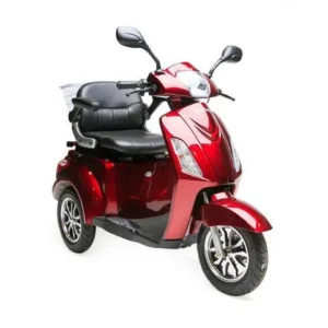 gio-regal-48v-mobility