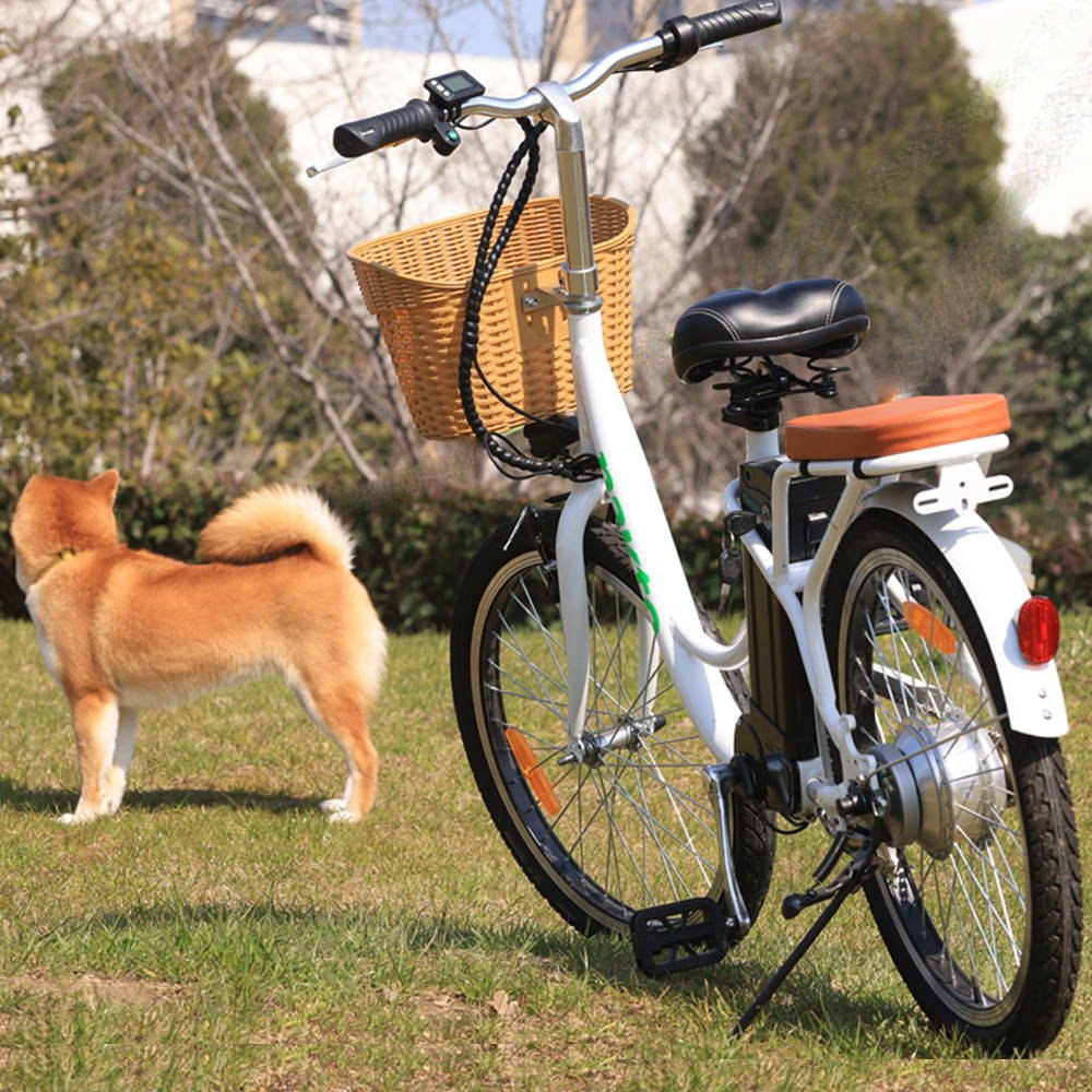 Buy Nakto Elegance 22 City Cruiser E-Bike - Nakto Elegance 22-Inch City Cruiser Electric Bike 250W 36V Step-Through view 3