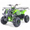 Taomotor D125 Kids ATV