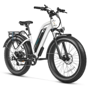 dirodi-vivo-e-bike-electric-bike-gen-2