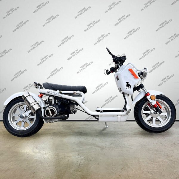150cc Maddog Scooter | Generation 4 | Automatic Transmission