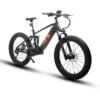 2 x EUNORAU FAT-HS 48V/14Ah 1000W Fat Tire Electric Mountain Bike