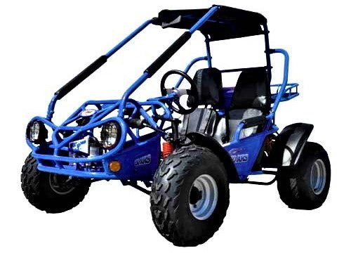 200 XRS Go Kart CVT Auto with Reverse ADULT- Number One Go kart Nationwide - Black