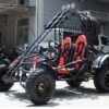 200cc Venom Spider Go-Kart | 2 Seater | Automatic + Reverse
