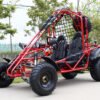 200cc Venom Spider Go-Kart | 2 Seater | Automatic + Reverse