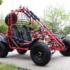 200cc Venom Spider Go-Kart | 2 Seater | Automatic + Reverse