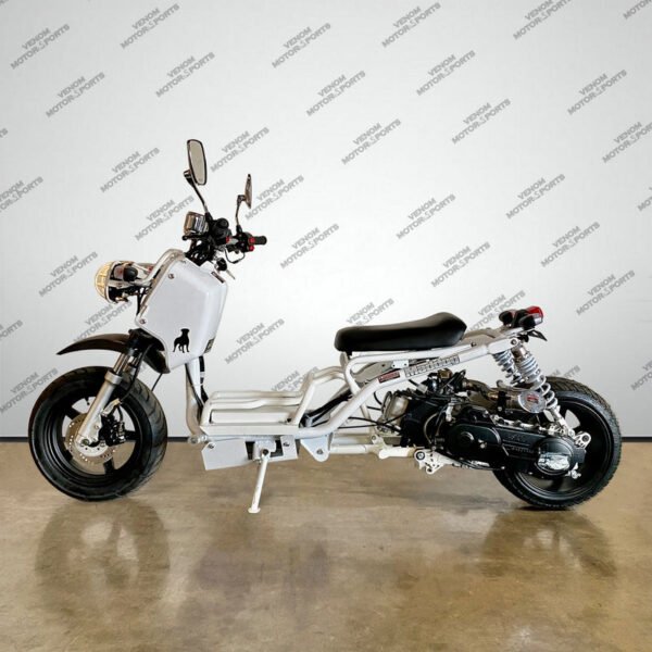 50cc Maddog Scooter | Generation 1 | Automatic Transmision