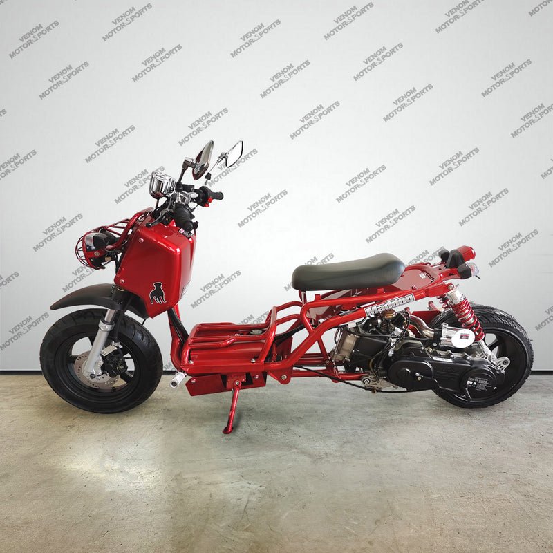 50cc Maddog Scooter | Generation 1 | Automatic Transmision