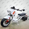 50cc Maddog Scooter | Generation 4 | Automatic Transmission