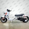 50cc Maddog Scooter | Generation 4 | Automatic Transmission