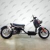 50cc Maddog Scooter | Generation 4 | Automatic Transmission