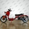 50cc Maddog Scooter | Generation 4 | Automatic Transmission