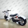 50cc Maddog Scooter | Generation 5 | Automatic Transmission