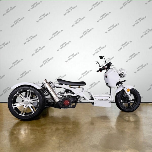 50cc Maddog Trike | 3 Wheeler | Automatic Transmission