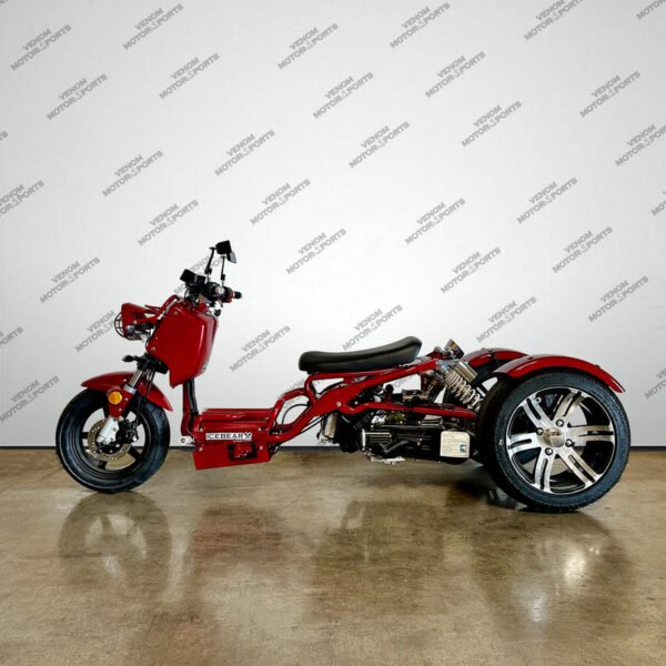 50cc Maddog Trike | 3 Wheeler | Automatic Transmission