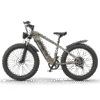 Aostirmotor Hero 1000W 52V Off-Road Fat Tire Electric Bike