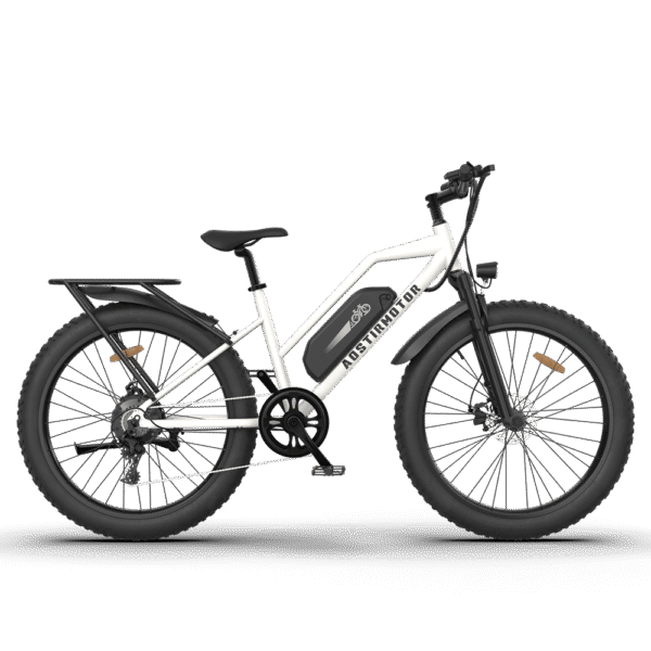 AOSTIRMOTOR S07-G 48V/13Ah 750W Fat Tire Electric Bike