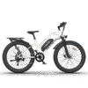 AOSTIRMOTOR S07-G 48V/13Ah 750W Fat Tire Electric Bike