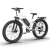 AOSTIRMOTOR S07-G 48V/13Ah 750W Fat Tire Electric Bike