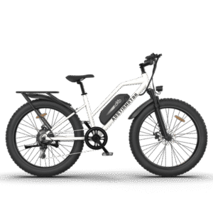 aostirmotor-s07-g-48v-13ah-750w-fat-tire-electric-bike