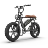 Aostirmotor Storm 750W 48V Fat Tire Electric Bike