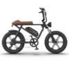 Aostirmotor Storm 750W 48V Fat Tire Electric Bike