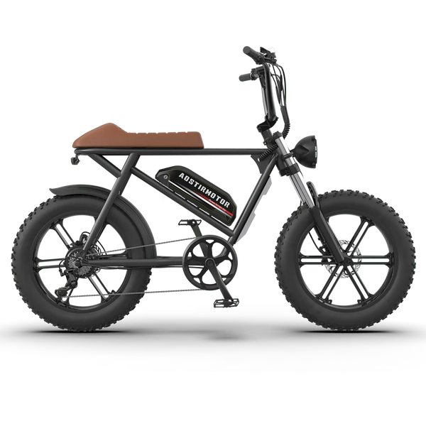 Aostirmotor Storm 750W 48V Fat Tire Electric Bike