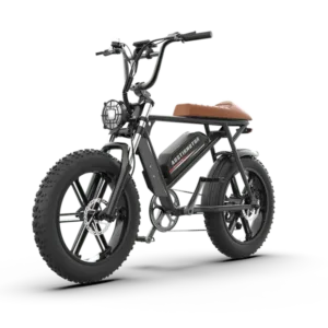 aostirmotor-storm-750w-48v-fat-tire-electric-bike