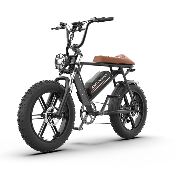 Aostirmotor Storm 750W 48V Fat Tire Electric Bike