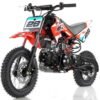 Apollo DB28 110cc Dirt Bike, 4-Speed Automatic, Electric Start, 12/10 inch Wheels, Ages 8 and up - Blue