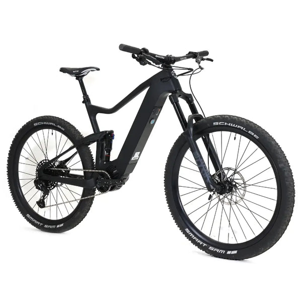 Bakcou Carbon Alpha 500W Mountain Electric Bike