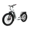 Bakcou Grizzly 1000W 48V Fat Tire Electric Scooter