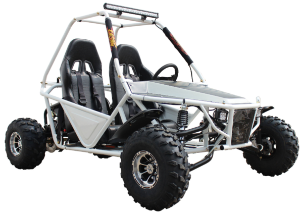 Batman 200 DLX Buggy Go Kart, Electric Start, Automatic with Reverse, 10-inch Alloy Wheels, Ages 16 and up - White