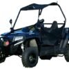 Blade 200U EFI UTV Side-by-Side, Electric Start, Automatic with Reverse, Ages 16 and up - Blue