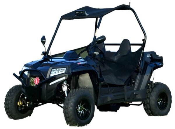 Blade 200U EFI UTV Side-by-Side, Electric Start, Automatic with Reverse, Ages 16 and up - Blue