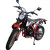 Broncho 300 Dual Sport Dirt Bike, 5-Speed Manual, Electric Start, (21/18) Wheels - Green