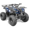 Bull Kids Gas Powered ATV, Electric Start 125cc 4-Stroke, Automatic with Reverse, Ages 12 and up - Black