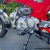 Champion Monkey Bike | 125cc Motorcycle | 4 Speed