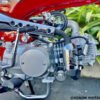 Champion Monkey Bike | 125cc Motorcycle | 4 Speed