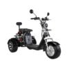 Citycoco 60V/40Ah 2000W Electric Trike Scooter