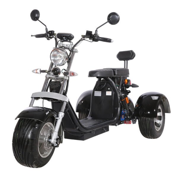Citycoco 60V/40Ah 2000W Electric Trike Scooter